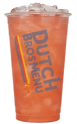 The James Dean Rebel